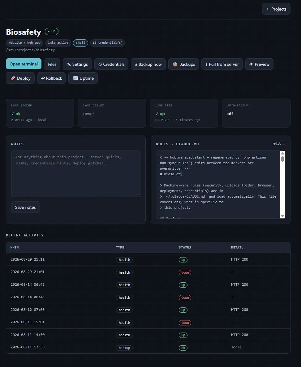 Pi Agent Hub — project detail